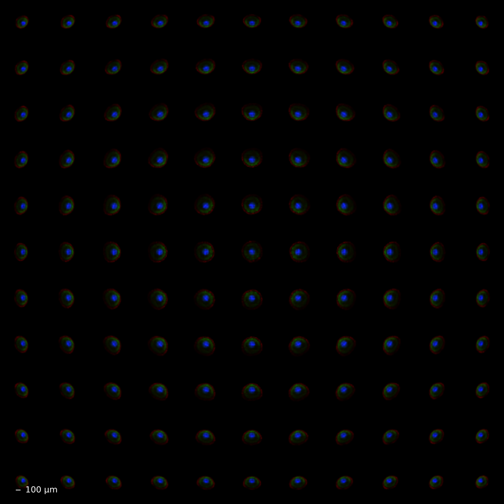 net